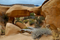 Devil's Garden