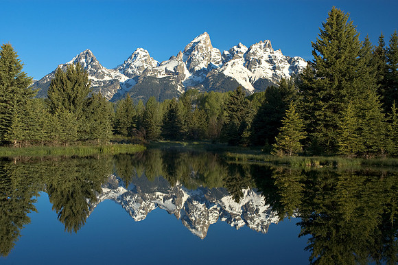 Grand Reflection