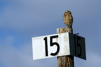 Standing watch