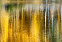 Autumn Reflection