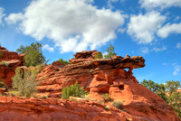 Desert Floor