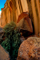 Canyon Walls