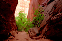 Long Canyon Slot