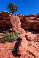 Cedar Rock