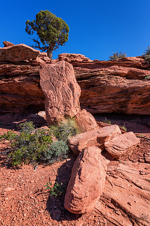 Cedar Rock