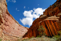 Capitol Gorge Sky
