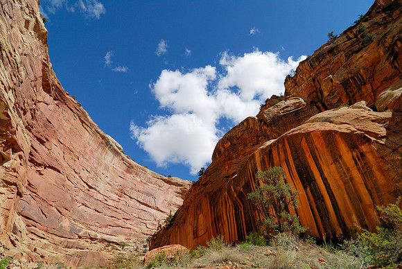 Capitol Gorge Sky