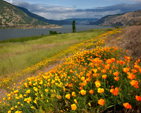 Columbia River Gorge