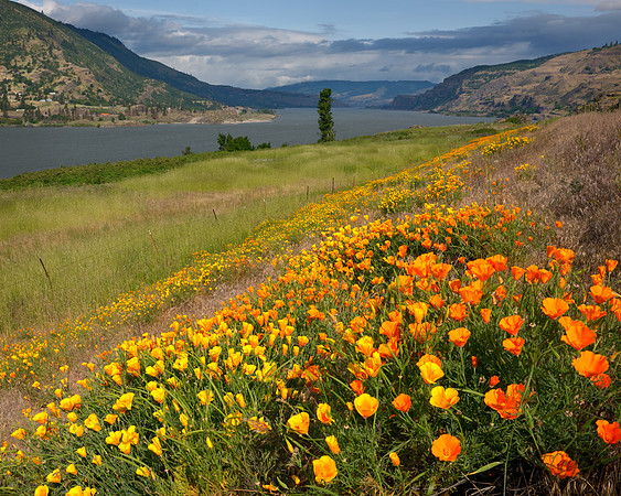 Columbia River Gorge