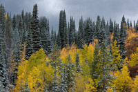 Autumn Snowstorm