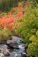 Cache Valley Autumn