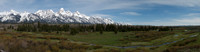 Teton Moose Panorama