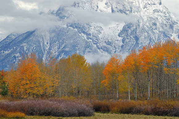 Teton Fall